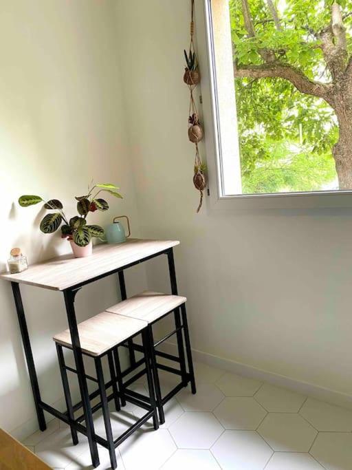 Mon Cocoon Toulousain Cosy Appartement Idealement Situe تولوز المظهر الخارجي الصورة